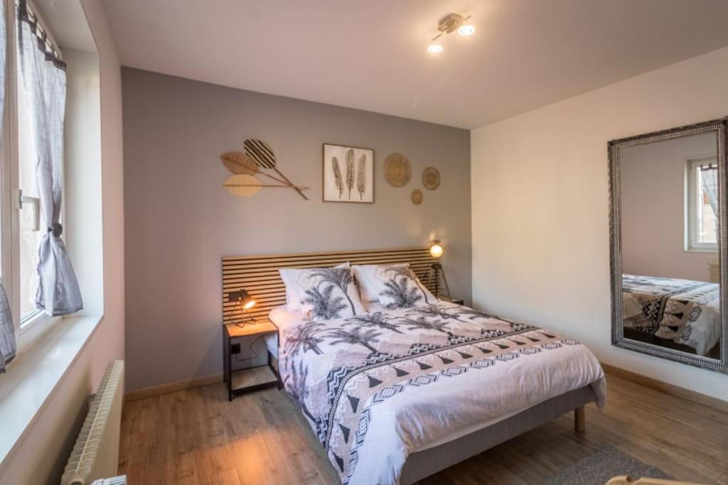 Appartement Le Saver'Zaru, Centre Ville, T2 55M² Saverne Ngoại thất bức ảnh