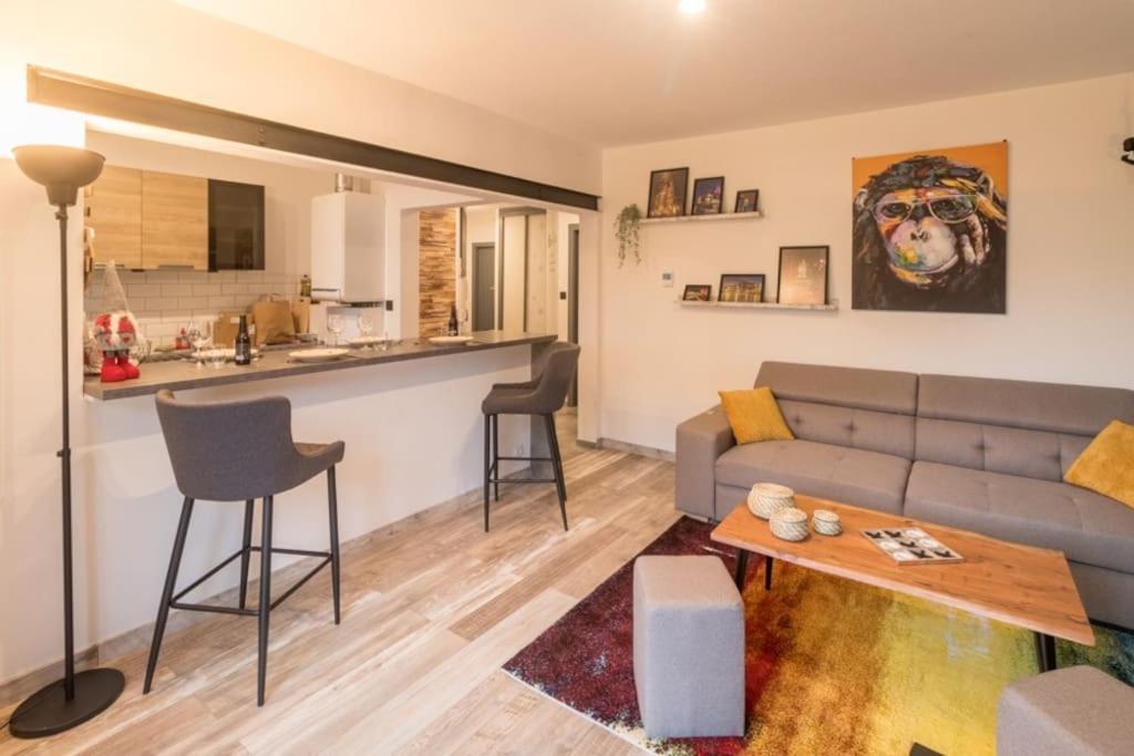 Appartement Le Saver'Zaru, Centre Ville, T2 55M² Saverne Ngoại thất bức ảnh
