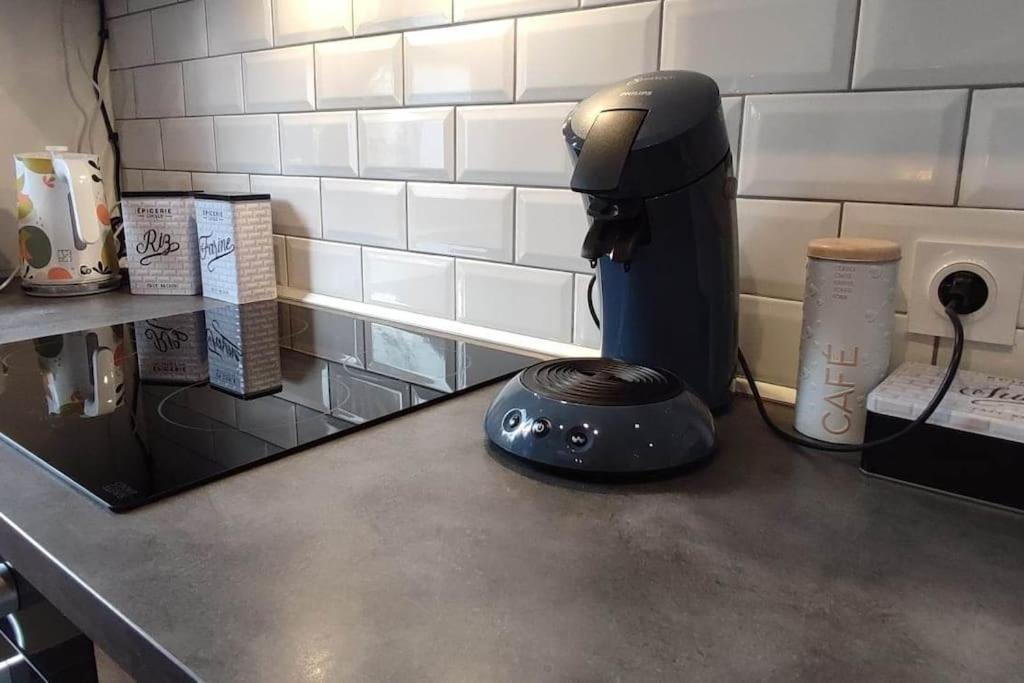 Appartement Le Saver'Zaru, Centre Ville, T2 55M² Saverne Ngoại thất bức ảnh